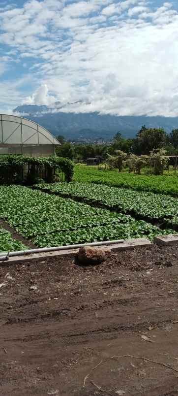 tanah kavling view pegunungan kota batu madewo apples