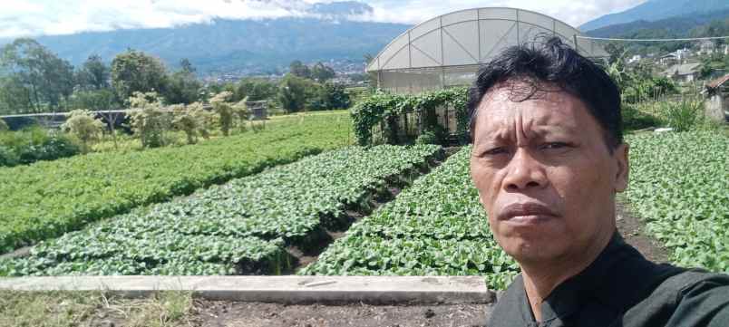 tanah kavling view pegunungan kota batu madewo apples