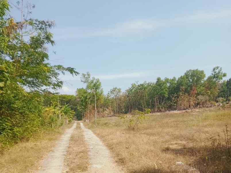 tanah murah 3200m hanya 375 juta sragen