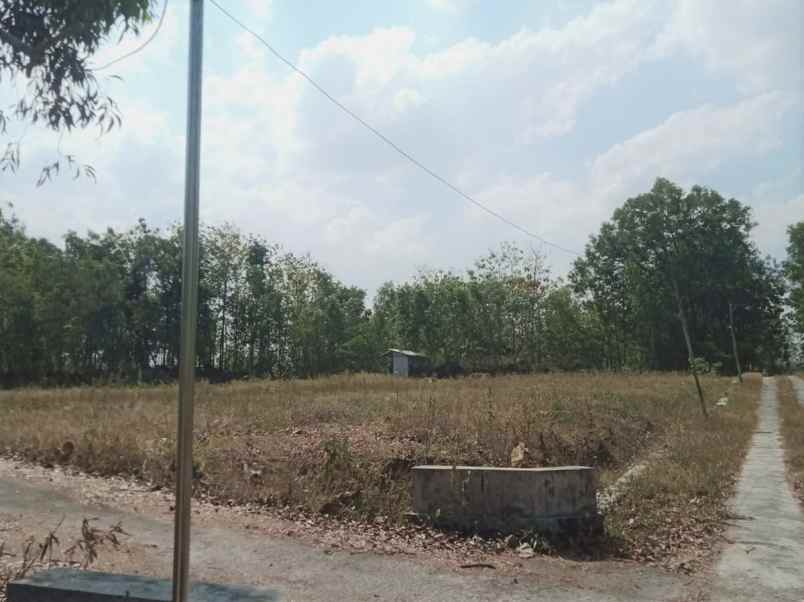 tanah murah 3200m hanya 375 juta sragen