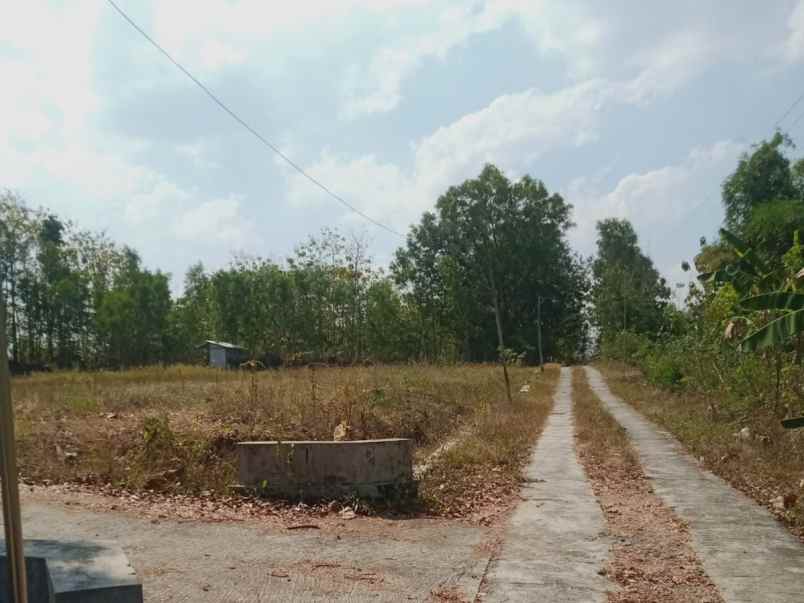 tanah murah 3200m hanya 375 juta sragen