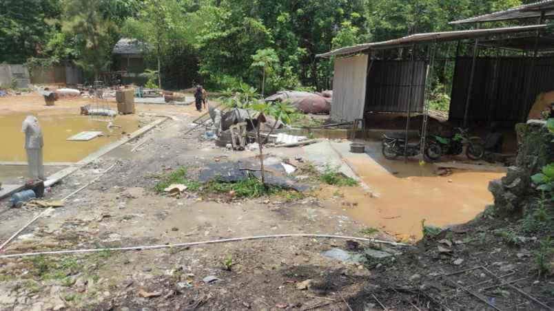 tanah murah luas tepi jalan cocok untuk pertanian