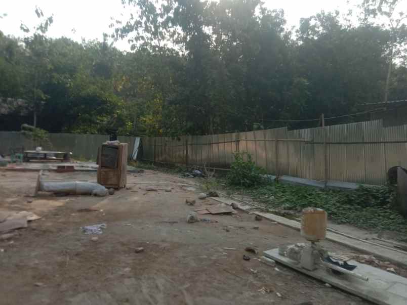 tanah murah luas tepi jalan cocok untuk pertanian