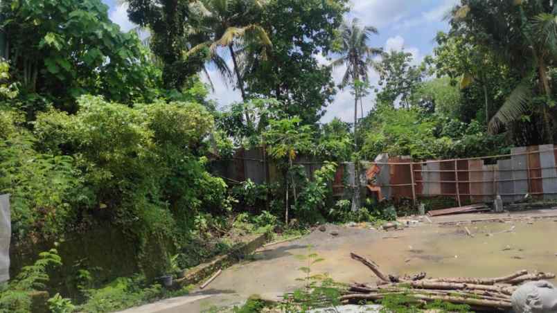 tanah murah luas tepi jalan cocok untuk pertanian