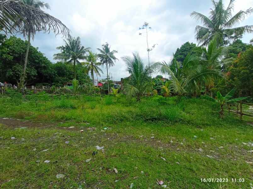 tanah pekarangan strategis dekat kecamatan sumbang