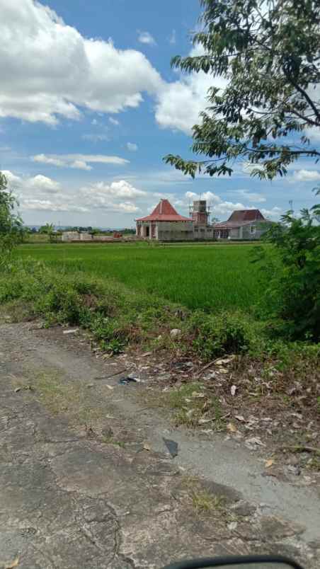 tanah sawah dijual