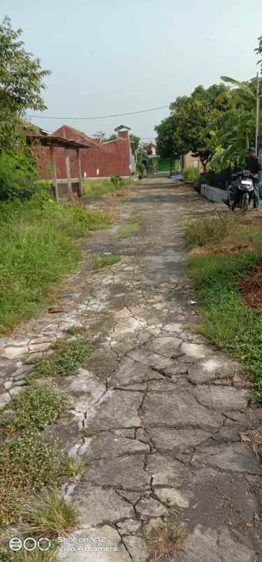 tanah sawah dijual