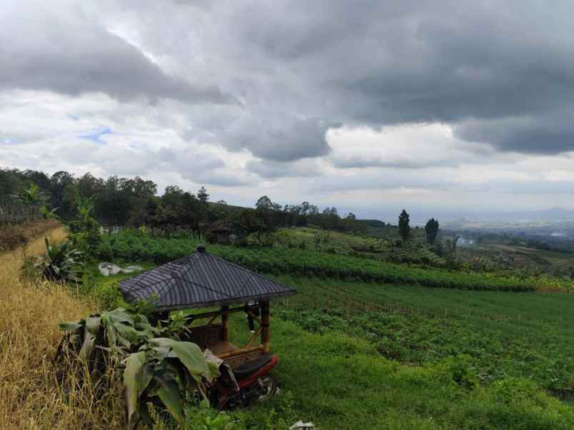 tanah sawah subur harga baik di bumiaji kota batu