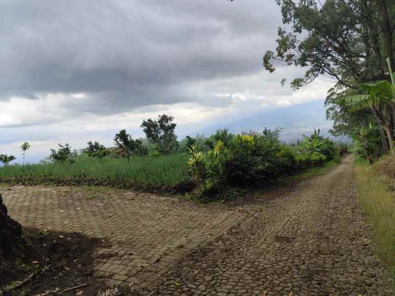 tanah sawah subur harga baik di bumiaji kota batu