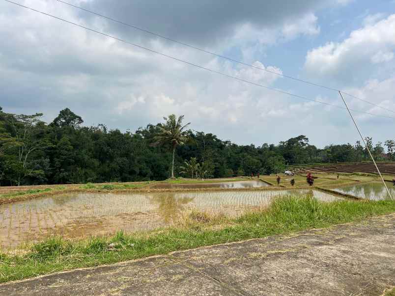 tanah subur 2000m timur pasar mojogedang karanganyar
