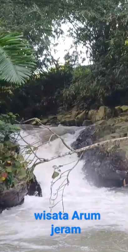 tanah sumber mata air panas subang jawa barat