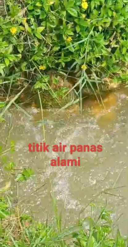 tanah sumber mata air panas subang jawa barat