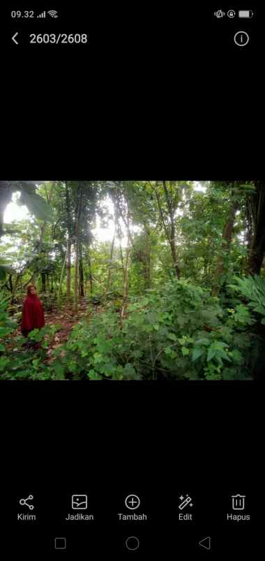 tanah tegalan murah kaliboto