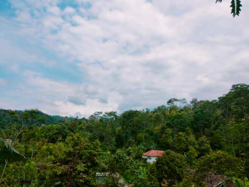 tanah tepi jl dpu kemuning