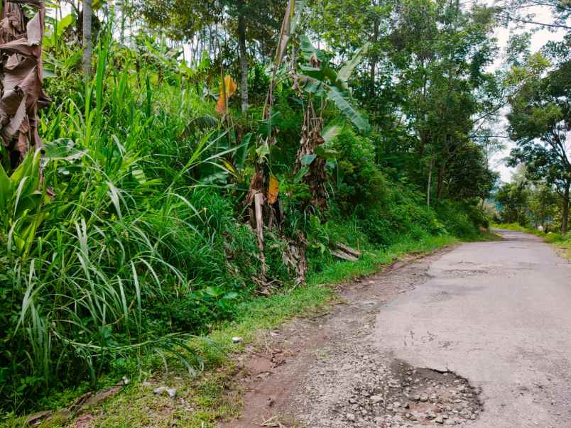 tanah tepi jl dpu kemuning