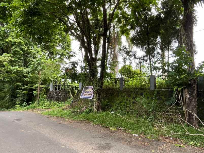 umah luas 6166 m2 di wanea manado nyaman strategis