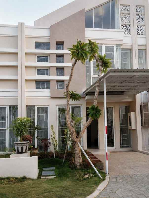 zimbali costa hadap utara