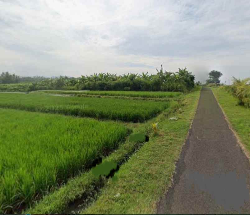 beachfront land zona pariwisata dekat paramount bali