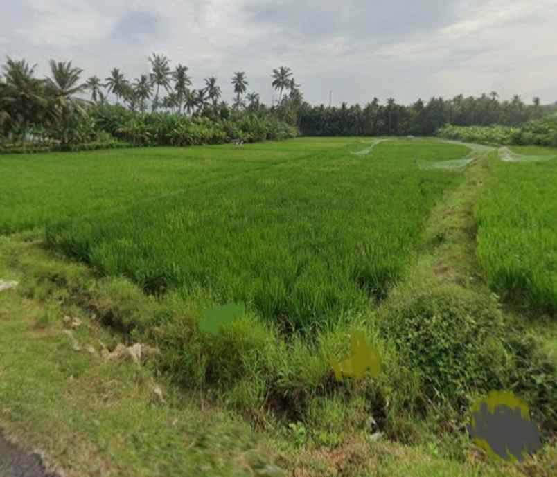 beachfront land zona pariwisata dekat paramount bali