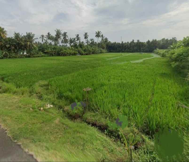 beachfront land zona pariwisata dekat paramount bali