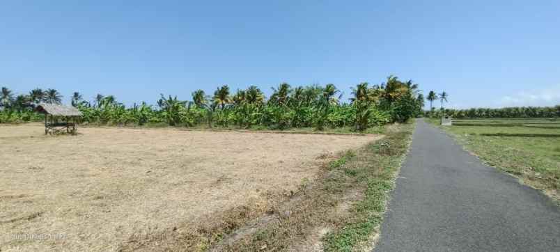 beachfront land zona pariwisata dekat paramount bali