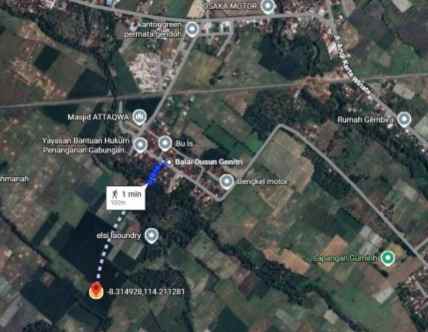 dijual cepat sawah di desa gendoh sempu banyuwangi