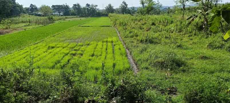 dijual lahan industri di jimbung klaten