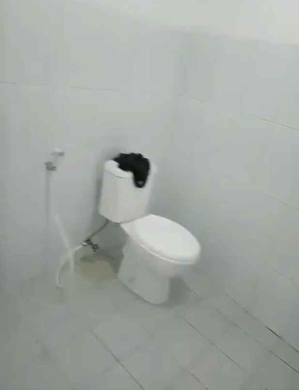 dijual ruko gudang kantor jalan kenjeran 516 kec