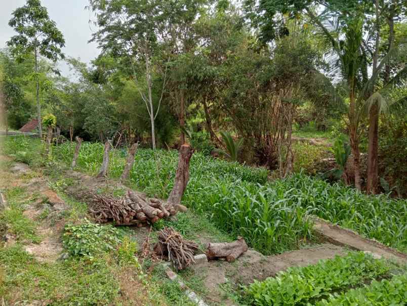 dijual ruko gudang kantor jl penataran garum