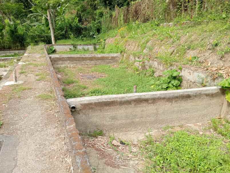 dijual ruko gudang kantor jl penataran garum