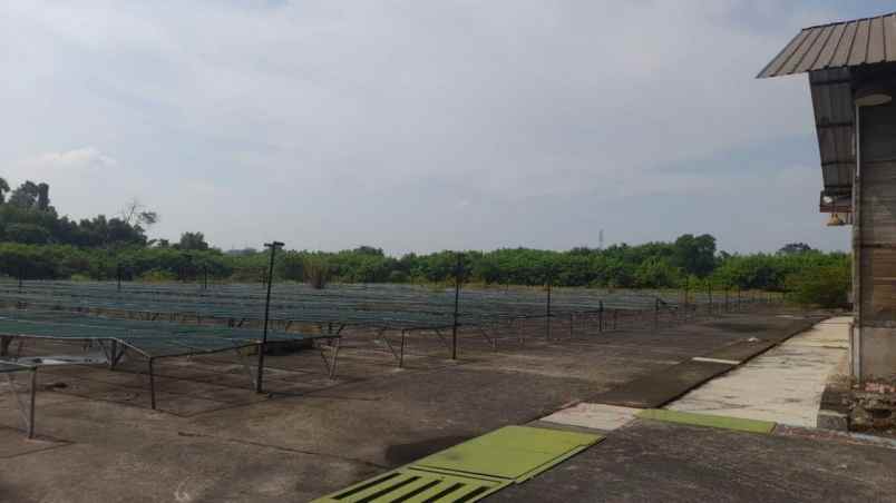 dijual ruko gudang kantor jl suhud hidayat kampung