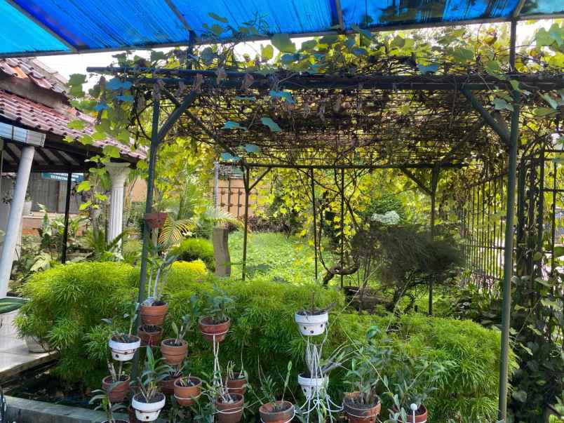 dijual rumah ciawitali citeureup cimahi