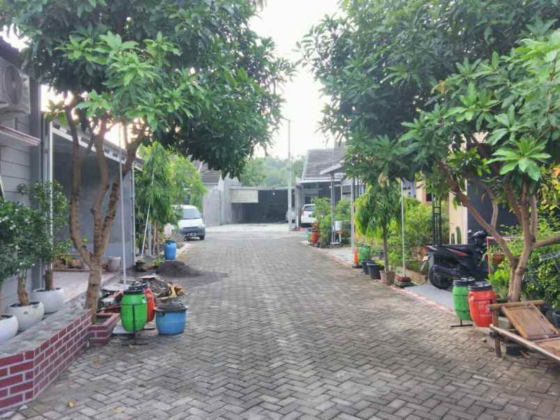 dijual rumah cluster plamongan sari