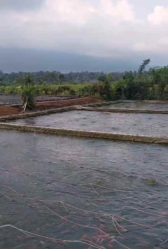 dijual rumah jalan raya mandalawangi
