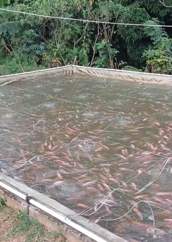 dijual rumah jalan raya mandalawangi