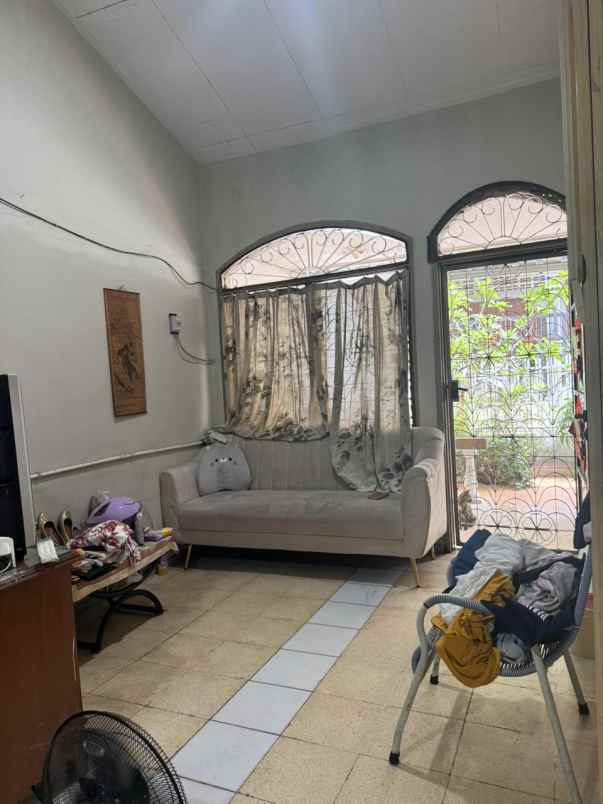 dijual rumah kelapa cengkir kelapa