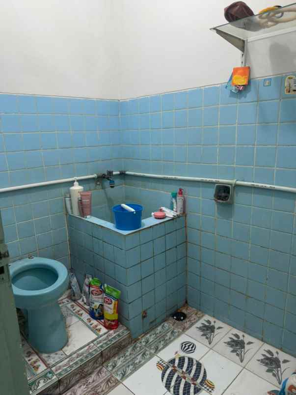 dijual rumah kelapa cengkir kelapa