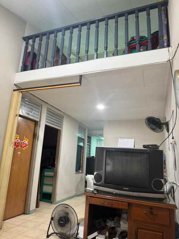 dijual rumah kelapa cengkir kelapa