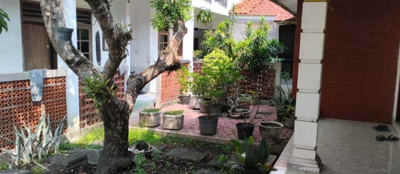 dijual rumah klampis