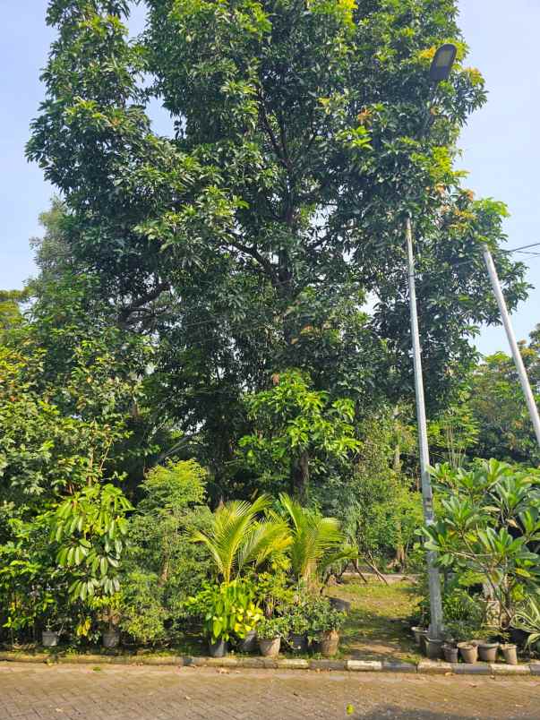 dijual rumah kutisari indah barat