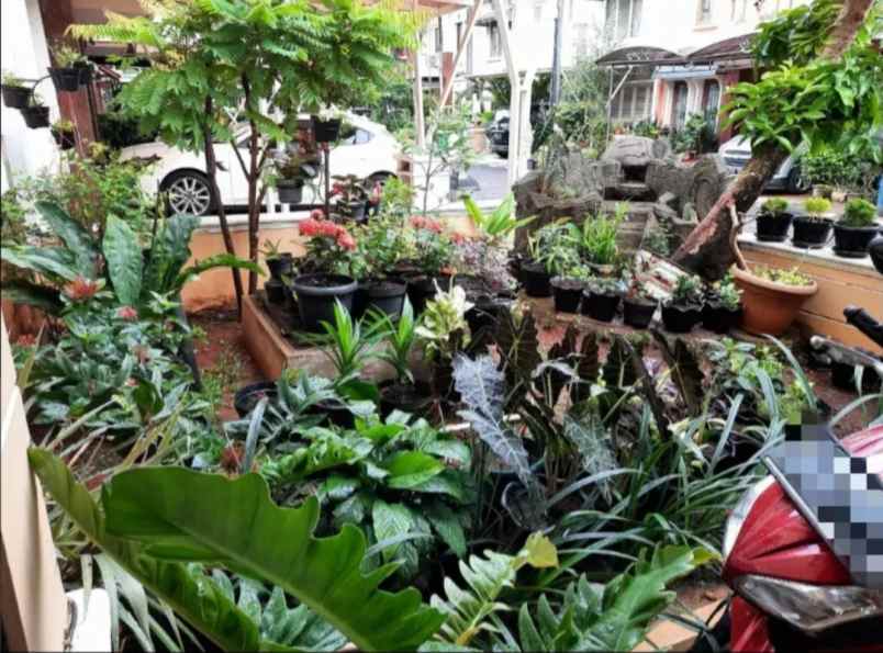 dijual rumah perumahan jatinegara baru