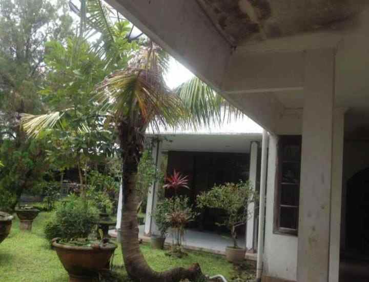 dijual rumah timoho kota yogyakarta