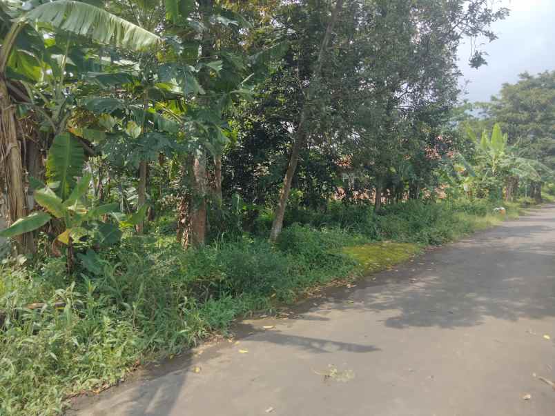 dijual tanah bandorasa kec cilimus kuningan