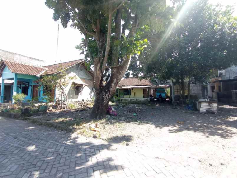 dijual tanah blotan sd model