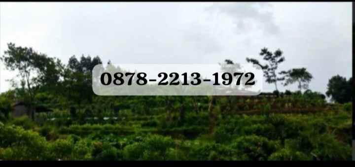dijual tanah cikole lembang