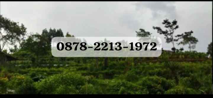 dijual tanah cikole lembang