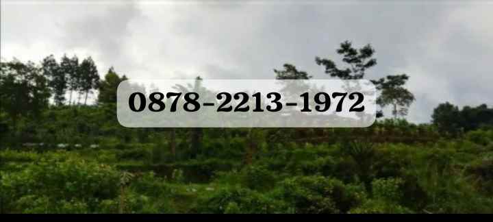 dijual tanah cikole lembang