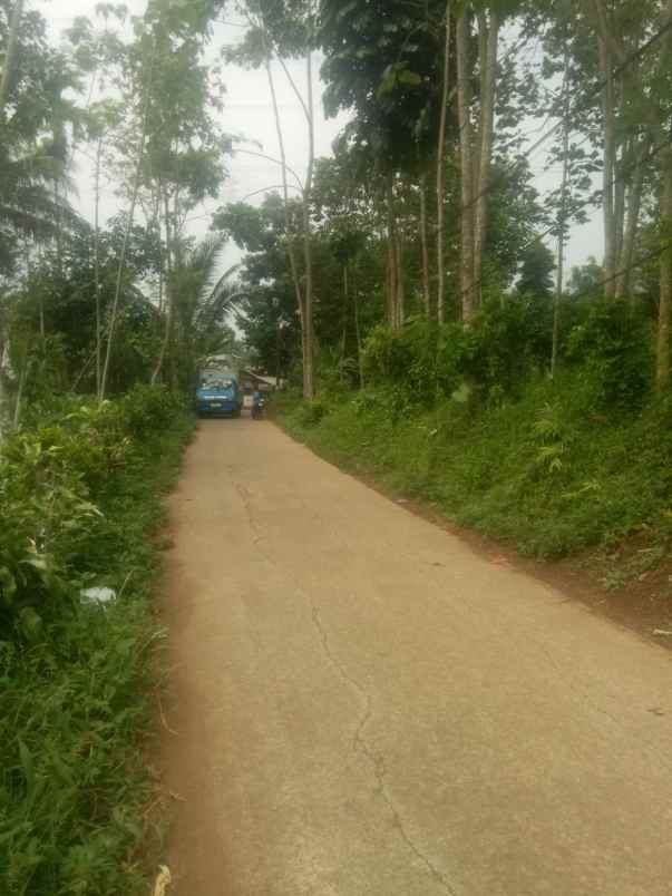 dijual tanah ciptaharja