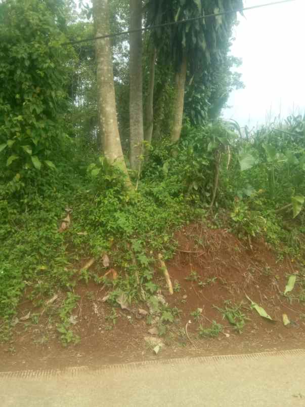 dijual tanah ciptaharja