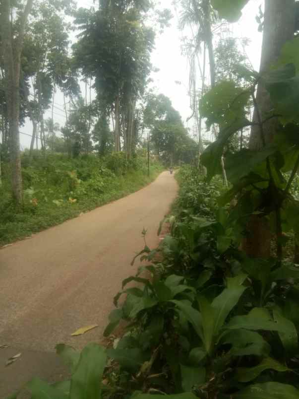 dijual tanah ciptaharja